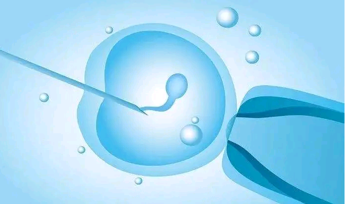 武汉民间供卵试管机构,武汉可以展开人类辅助生殖技术的医疗机构有哪些？