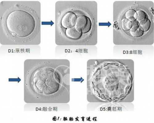 上海三代助孕机构,上海人不愿意打新冠疫苗?,江西成为本轮开放新冠奥蜜克戎感
