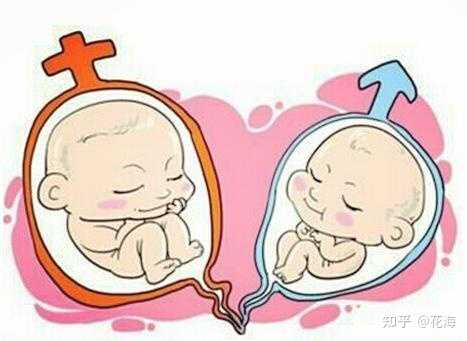 上海有哪些助孕机构公司，做试管助孕一次成功的概率有多少？-哪里供卵机构