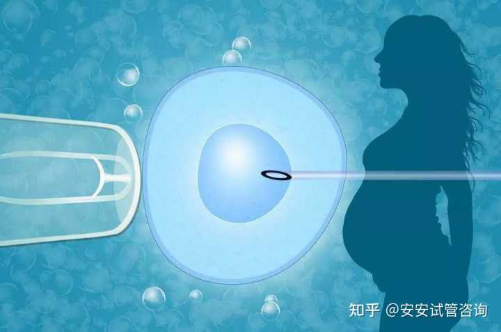 上海捐卵多少钱,上海捐卵试管有无风险-代生成功产子